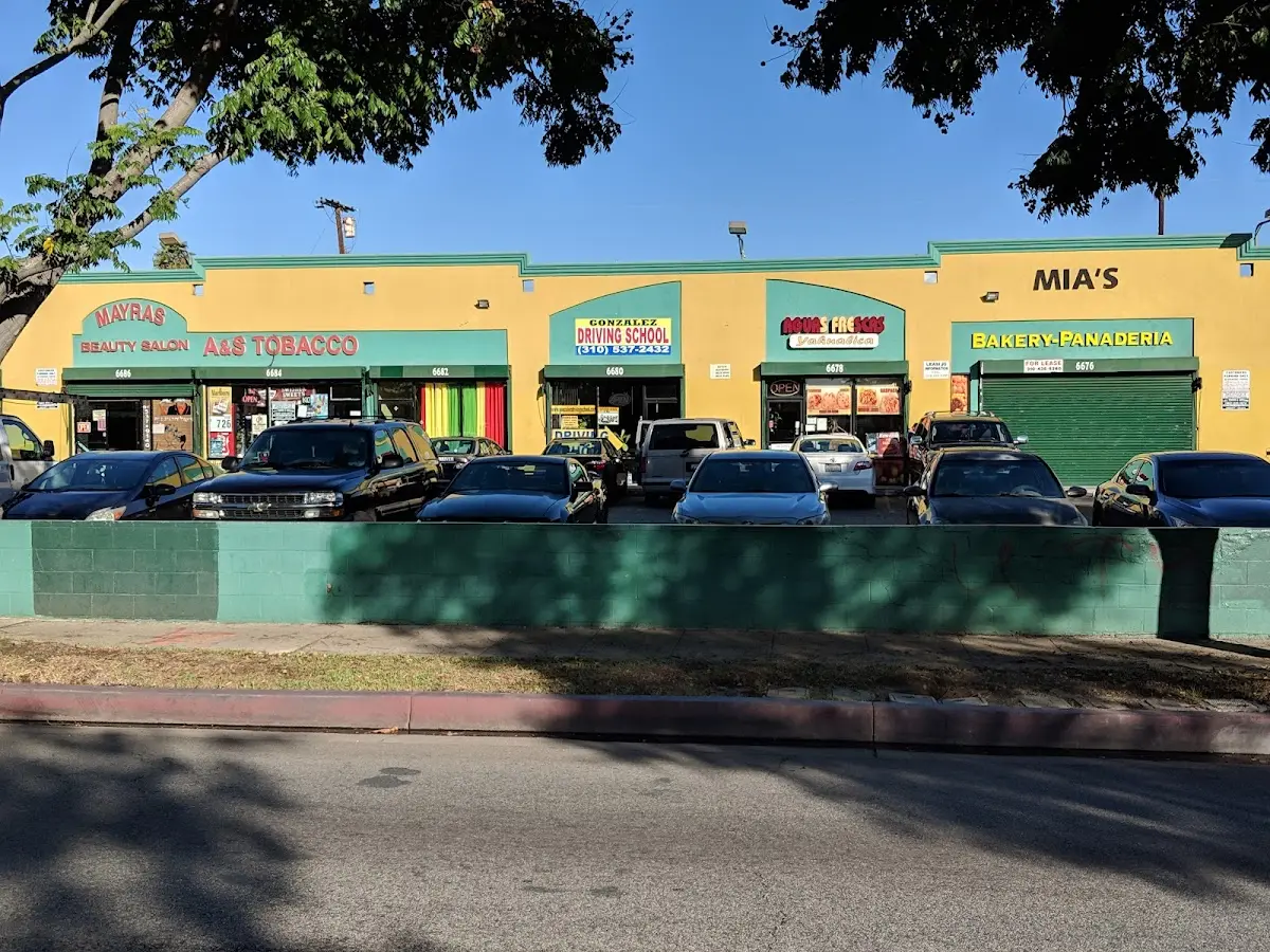 Foto de la escuela de manejo Gonzalez Driving School
