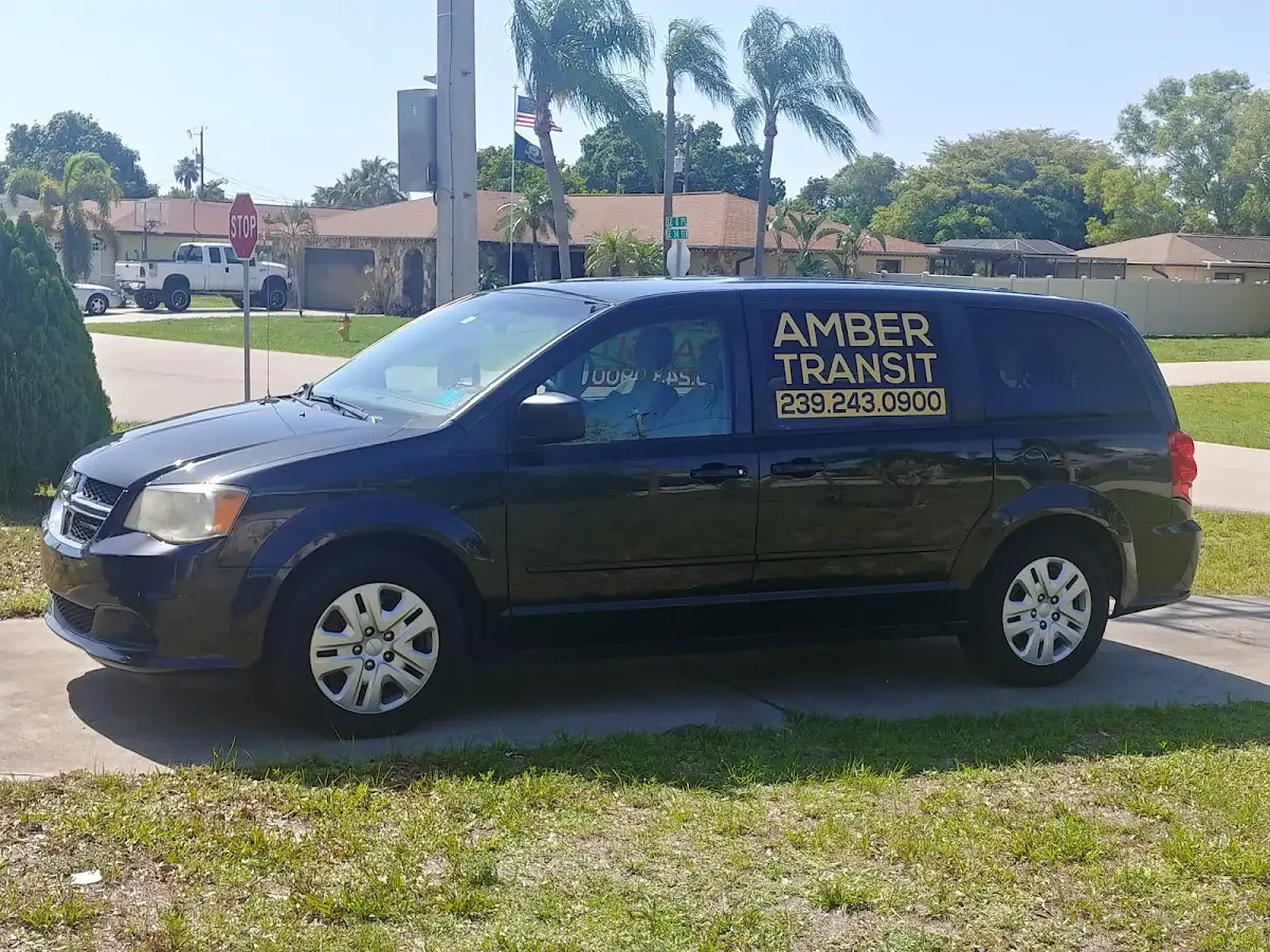 Imagen de Amber Transit