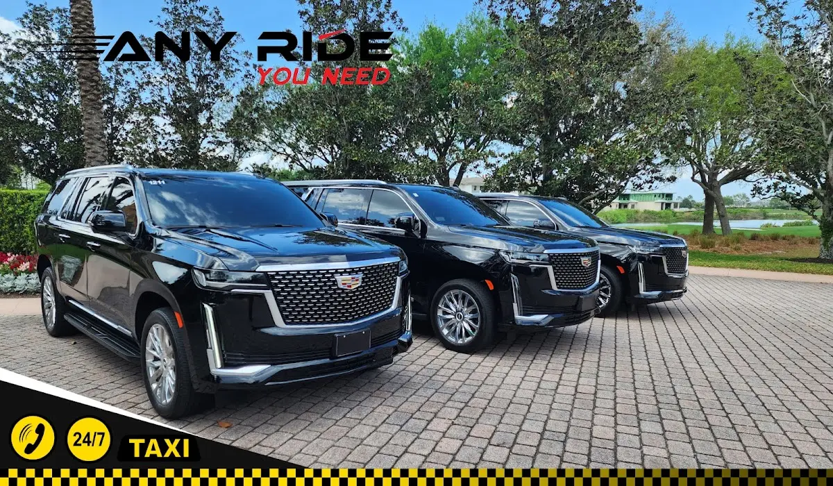 Imagen de Any Ride You Need
