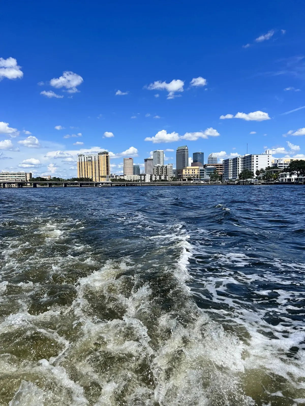 Imagen de Tampa Water Taxi Company